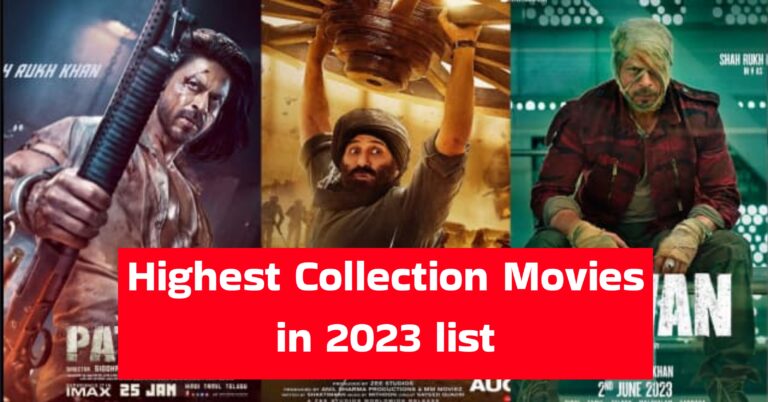 Highest Grossing Hindi Movies in 2023