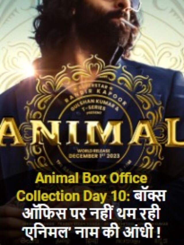 Animal Box Office Collection Day 10